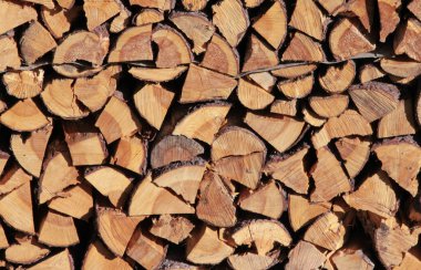 chopped firewood for winter