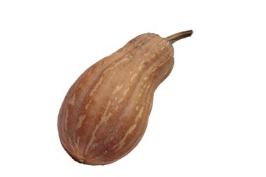 Beyaz arka planda büyük bir balkabağı