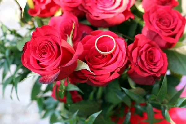 Rose rosse — Foto Stock