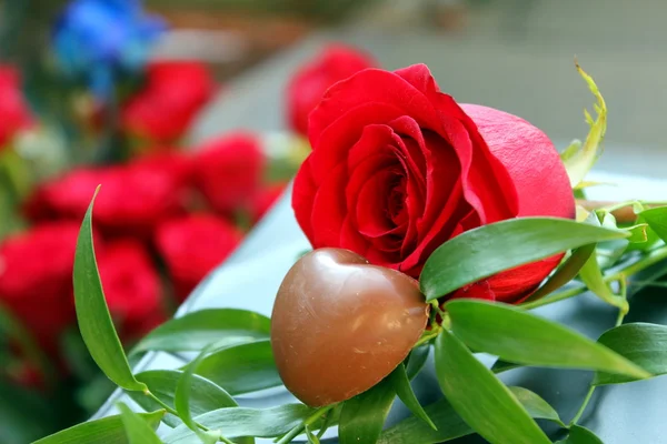 Red roses — Stock Photo, Image