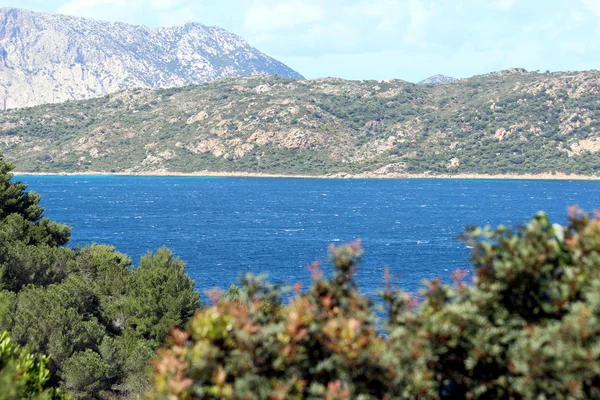Sardinské moře — Stock fotografie