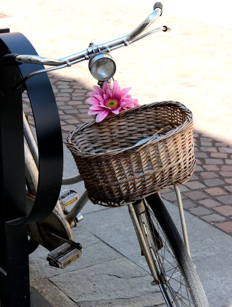 Fahrrad — Stockfoto