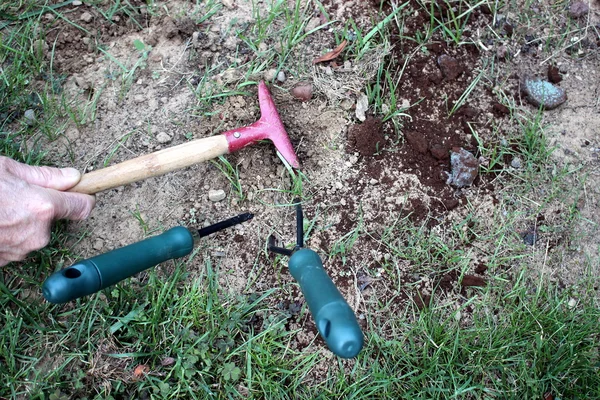 Jardinería — Foto de Stock