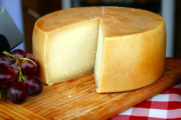 Käse — Stockfoto