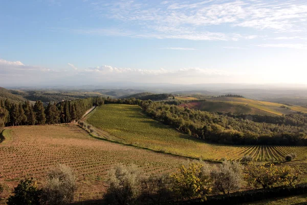 Landscape in Tuscany, Italy — Stock Photo, Image