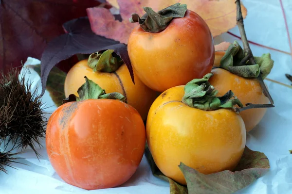 An autumnal persimmon — Stock Photo, Image