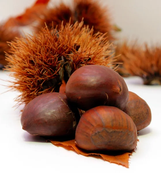 Un gruppo di castagne — Foto Stock