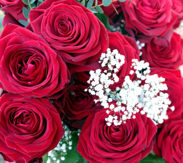 Algumas rosas vermelhas — Fotografia de Stock