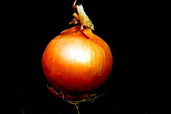 Onions on the table — Stock Photo, Image