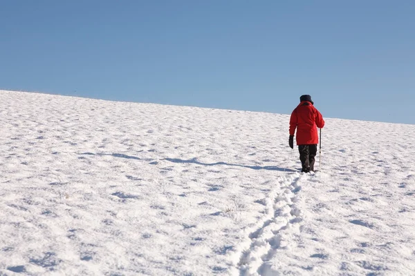 Caminhadas na neve — Fotografia de Stock