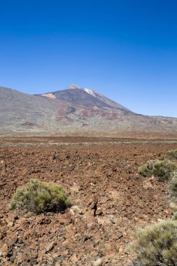 Boca Tauce, Teide Ulusal Parkı, Tenerife, Kanarya Adaları 'ndaki Volkan Dağı ve lav tarlası.