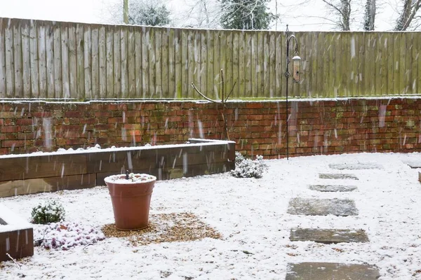 Nieve Cayendo Jardín Inglés Invierno Reino Unido — Foto de Stock