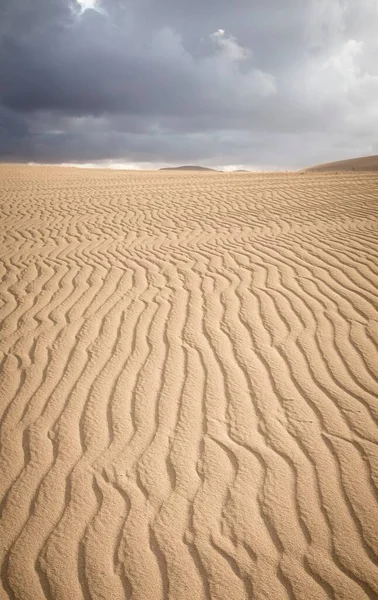 Zandduin Met Rimpels Close Van Een Woestijnlandschap Corralejo Zandduinen Nationaal — Stockfoto