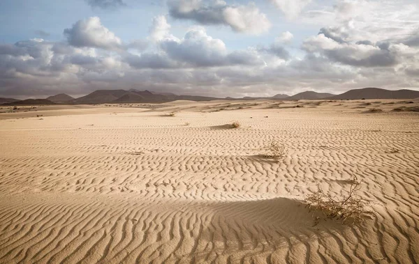 Fuerteventura Desert Landscape Corralejo Sand Dunes National Park Fuertentura Canary — Stock Photo, Image