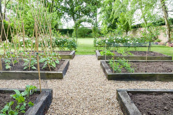 Gravel (shingle) path or paths in a vegetable patch with timber raised beds, in a large garden in England, UK