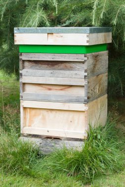 İngiltere 'de bir bahçede ahşap arı kovanı (arı kovanı) ile ev yapımı bal üretimi