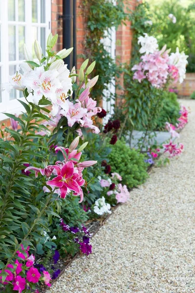 Blumenkranz Englischen Garten Mit Orientalischen Lilien Lilie Großbritannien — Stockfoto