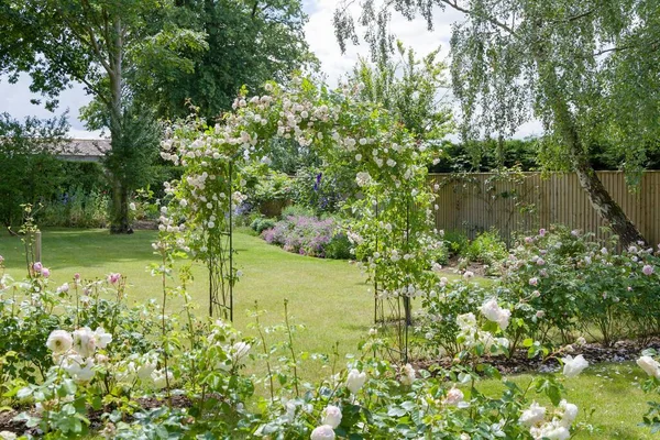 玫瑰花园英国大型花卉花园 有白色的树篱玫瑰和玫瑰拱形花冠 — 图库照片