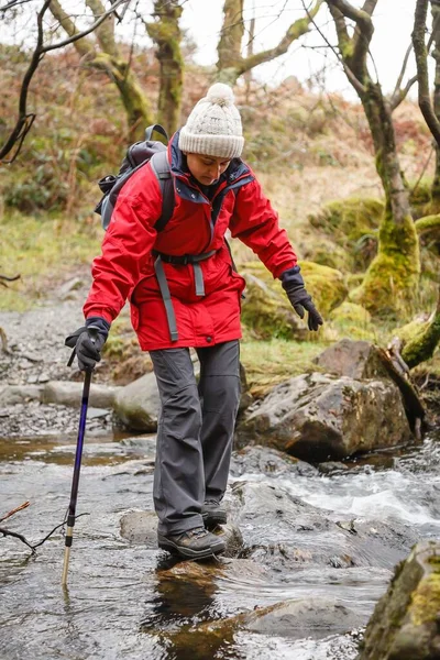 Asian Indian Woman Hiker Waterproof Clothing Hiking Gwydyr Forest Snowdonia — Fotografia de Stock