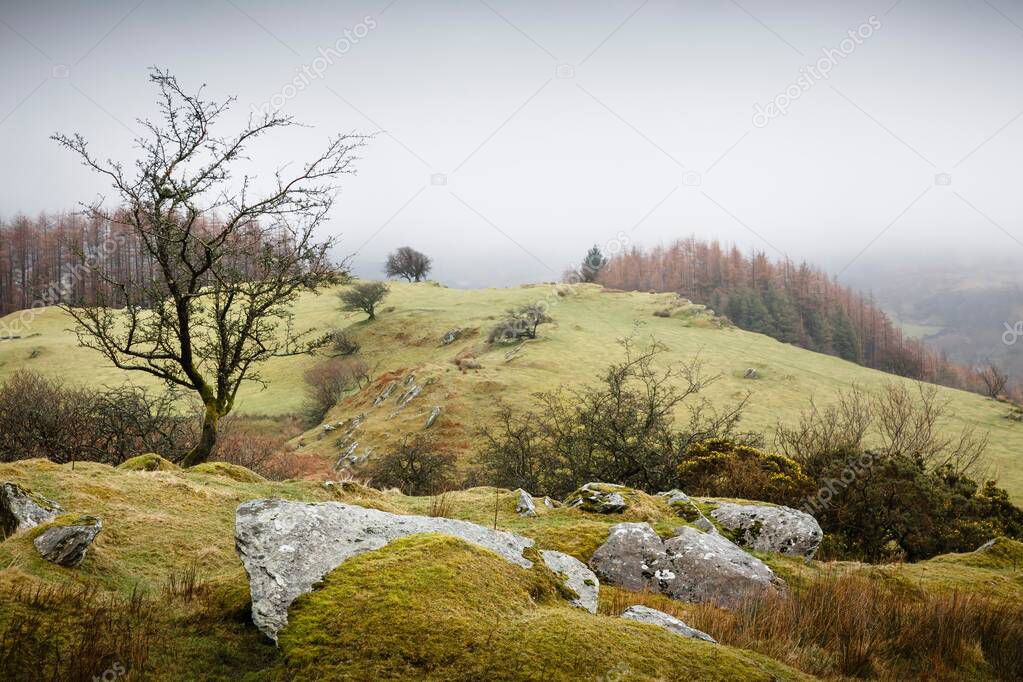 Wales landscape. Gwydyr Forest Park in winter, Snowdonia, Wales, UK