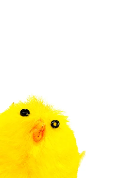 Easter chick with clipping path — Stock Photo, Image