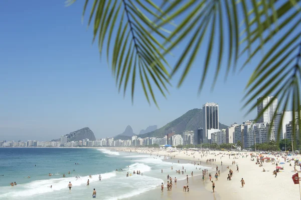 Copacabana Beach Rio de Janeiro palmblad — Stockfoto