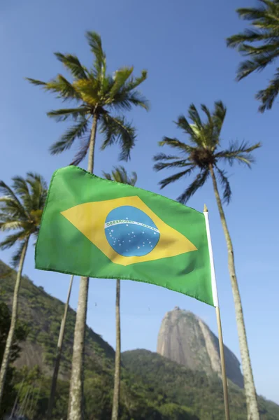 Brasiliansk flagg Sugarloaf Palm Trees Rio Brasil – stockfoto