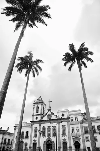Pelourinho Salvador Bahia Brésil Architecture coloniale Palmiers — Photo