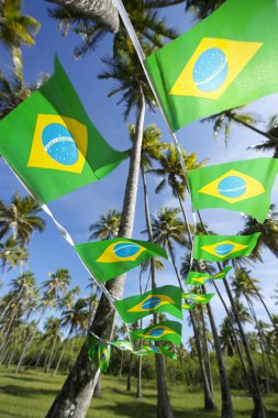 Brazilian Flag Bunting Coconut Palm Trees Grove