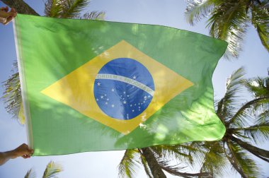 Brezilya bayrağı Rüzgar güneş ışığı palmiye ağaçları