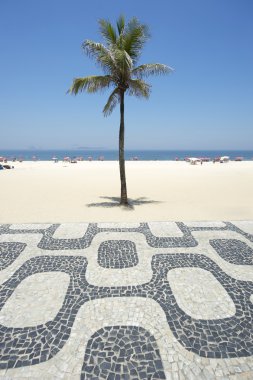 Ipanema Plajı Rio de Janeiro Boardwalk palmiye ağacı ile