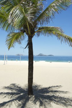 Ipanema Plajı Rio de Janeiro palmiye ağacı gölge