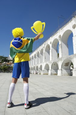 bir rio de janeiro Brezilya bayrağı adam arcos da lapa kemerler