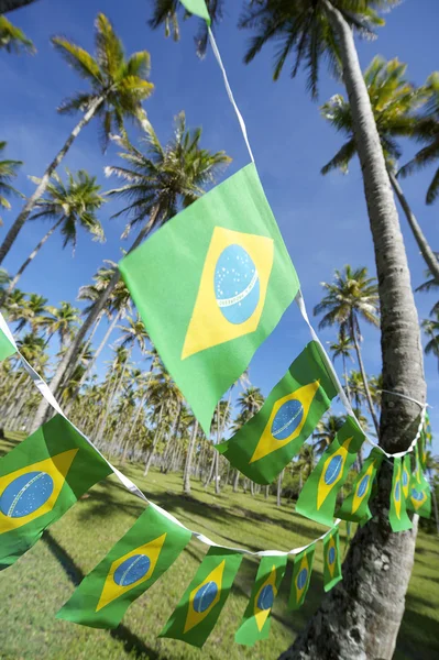 Brazilian Flag Bunting Coconut Palm Trees Grove — Stockfoto