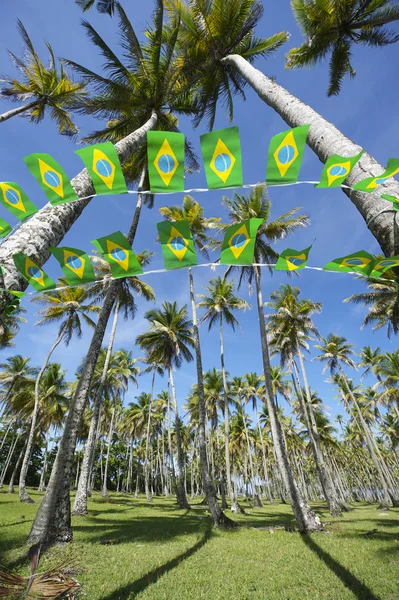 Brazilian Flag Bunting Coconut Palm Trees Grove — Zdjęcie stockowe