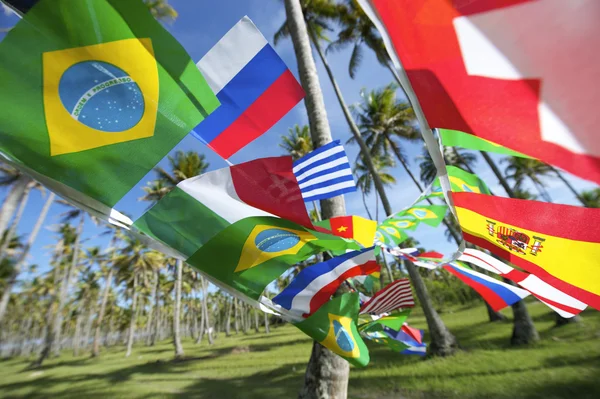 Internasjonalt lag Flags Palm Grove Brasil – stockfoto