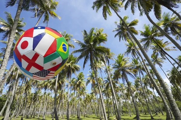 Bola Sepakbola Internasional Terbang di Palm Grove Brasil — Stok Foto