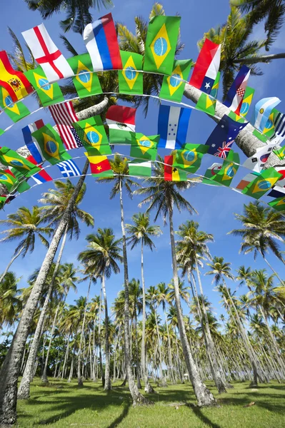 Banderas del Equipo Internacional Palm Grove Brasil —  Fotos de Stock