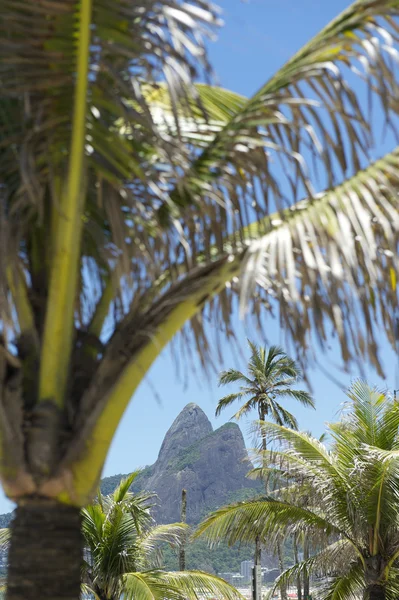 Ipanema strand rio de janeiro brasilianische palmen — Stockfoto