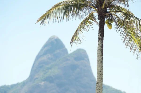 Deux Frères Montagne Rio de Janeiro Brésil Palmier — Photo