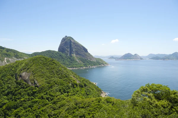 Pão de Açúcar Mountain Greenery e Baía de Guanabara Rio — Fotografia de Stock