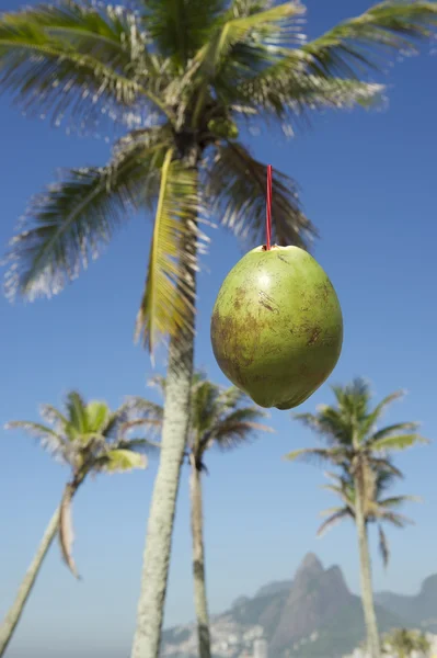 Зеленый кокосовый орех падает на пляж Ипанема в Рио-де-Жанейро — стоковое фото