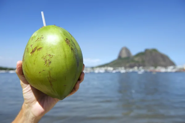 Brazilian Coco Gelado Coconut Rio de Janeiro Brazil — Stock Photo, Image