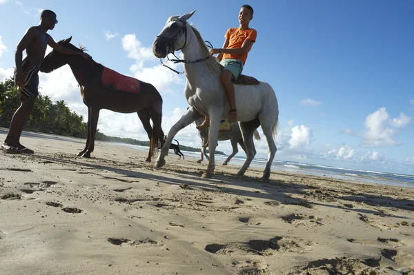영 브라질 승마 말 바이아 해변 브라질 — 스톡 사진
