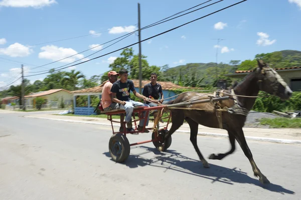 Vinales Küba geleneksel at ve Buggy yolcular ile — Stok fotoğraf