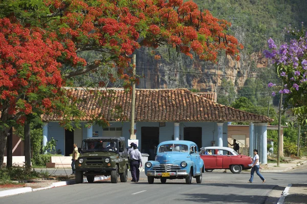 Vinales Kubu typické venkovské scény — Stock fotografie