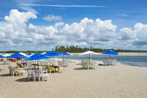 Cadeiras de praia Bahia Island Nordeste Brasil — Fotografia de Stock