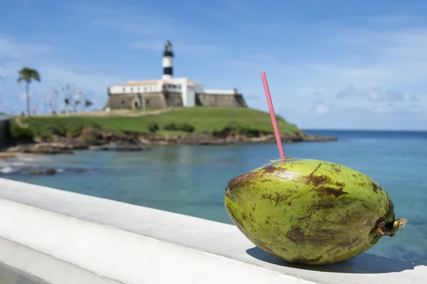 Salvador Brezilya farol da barra fener beach