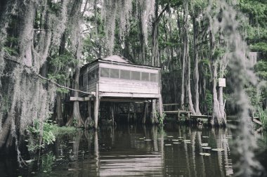 Bayou bataklık Shack sahne İspanyolca Moss ile