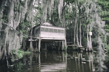 Bayou Swamp Shack Scene with Spanish Moss clipart